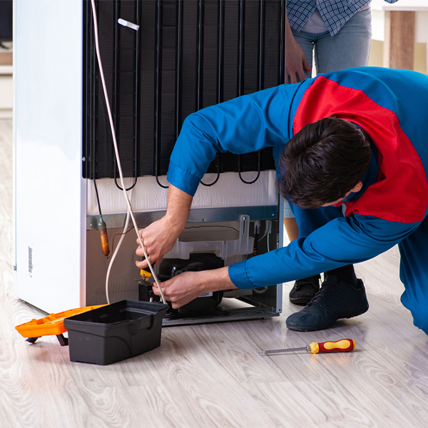 can you repair all types and brands of refrigerators in Bluff
